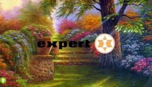 expert