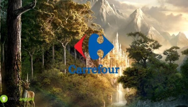 carrefour