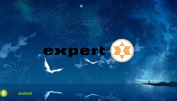 expert
