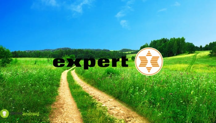 expert