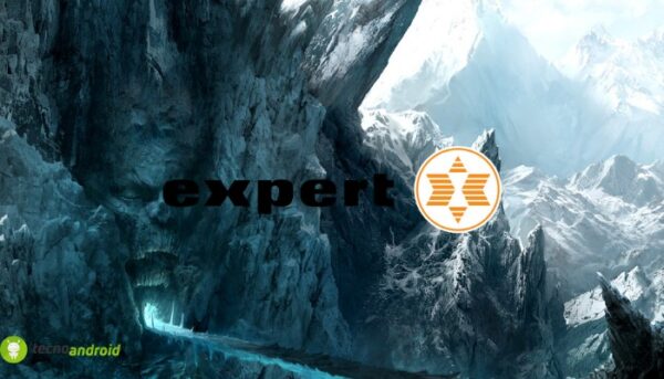 expert