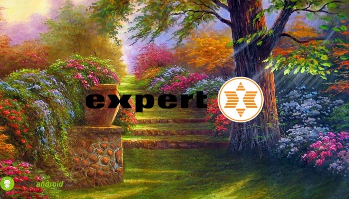 expert