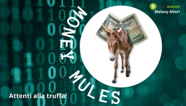Ing, Intesa San Paolo e Fineco: attenzione alla truffa, potreste diventare money mule!