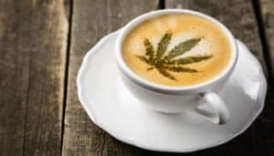 caffe cbd