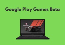 copetina google play games beta