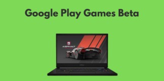 copetina google play games beta