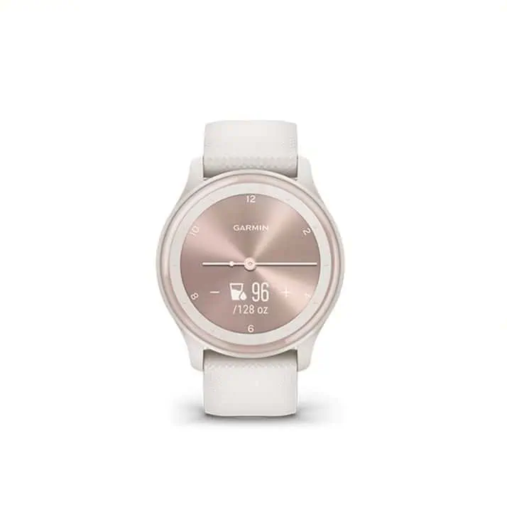 garmin 10