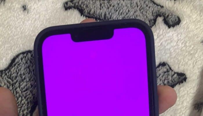 iPhone-13-schermo-rosa-bug-software