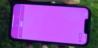 iphone-13-utenti-preoccupano-nuovo-problema-schermo-rosa