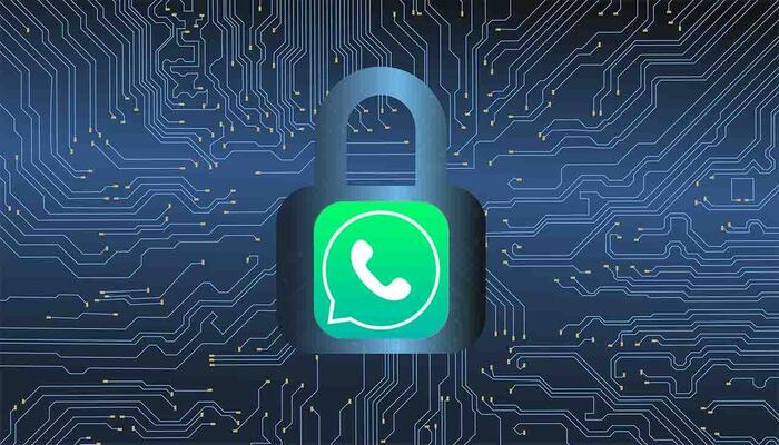WhatsApp: ora non si perde più niente, è possibile trasferire le chat da Android a iOS
