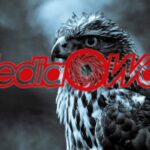 mediaworld