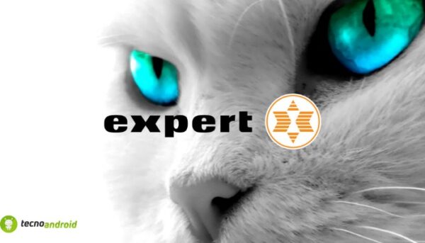 expert