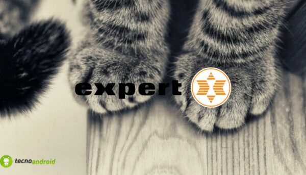 expert