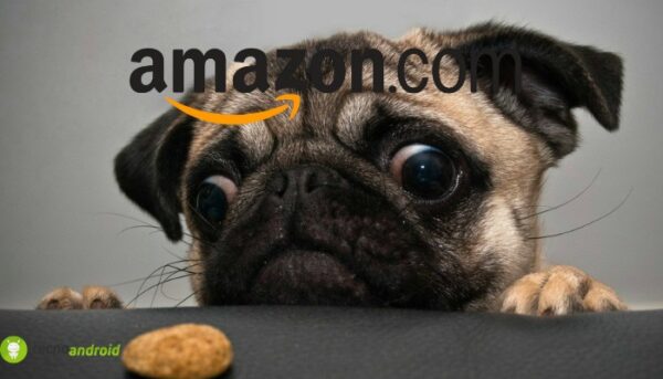 amazon