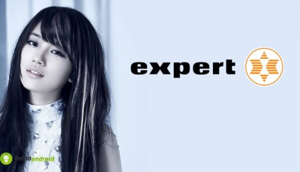 expert