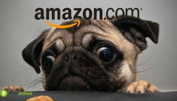 amazon