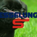esselunga