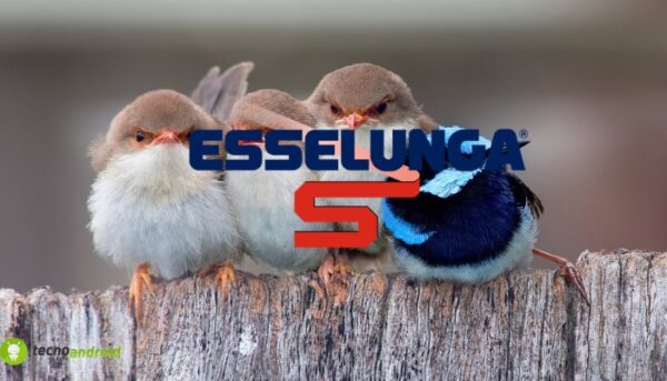 esselunga