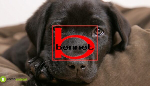 bennet