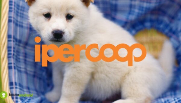 coop
