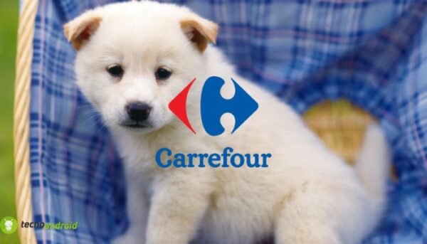 carrefour