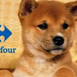 carrefour