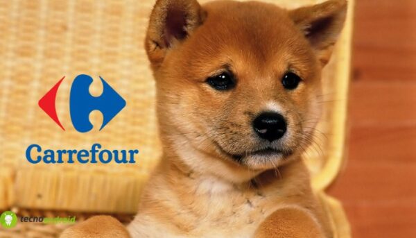 carrefour