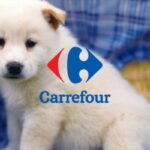 carrefour