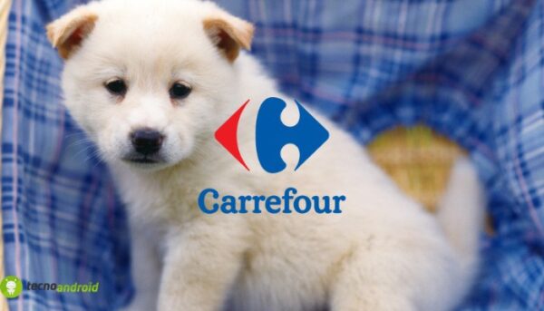 carrefour