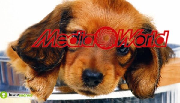 mediaworld