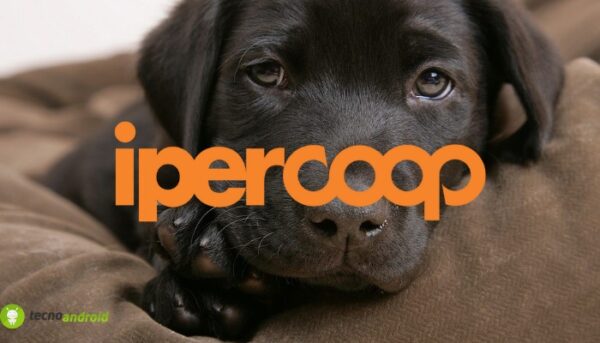 coop