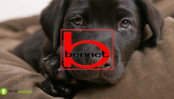 bennet