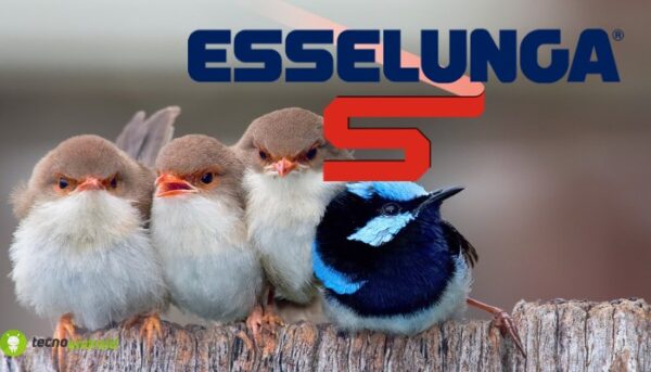 esselunga
