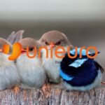 unieuro