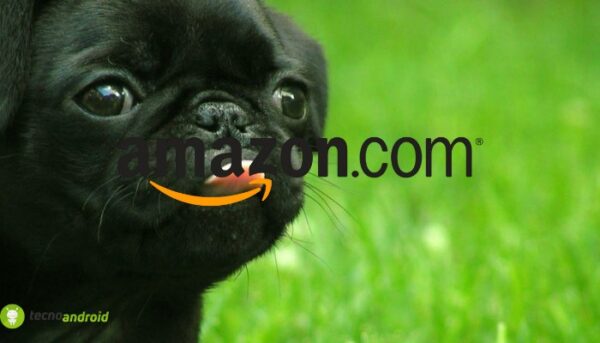 amazon
