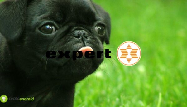 expert