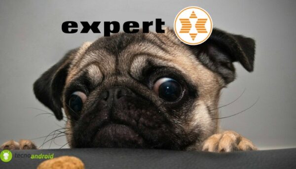 expert