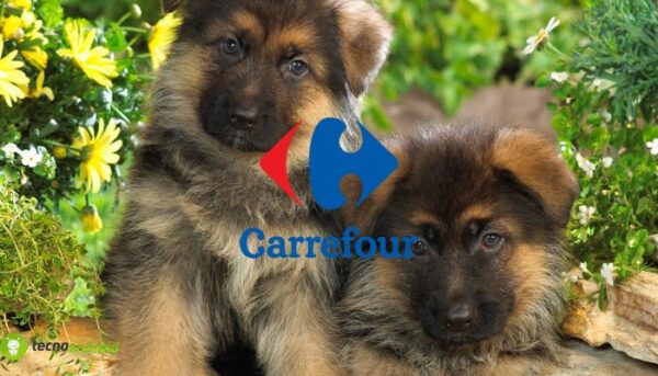 carrefour