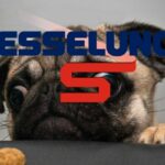 esselunga