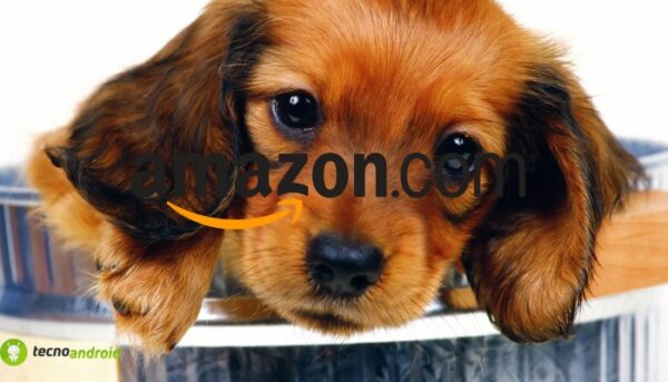 amazon