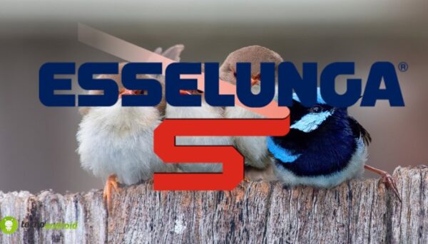 esselunga
