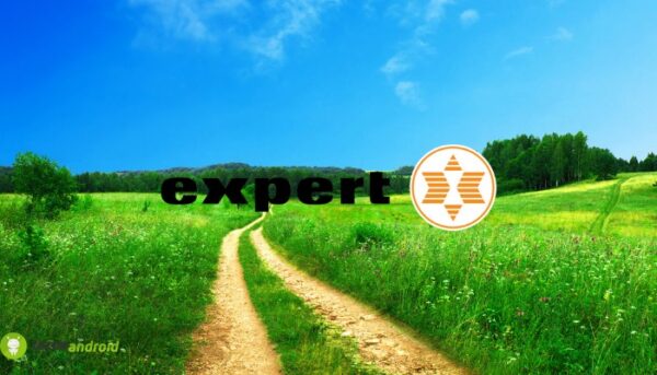 expert