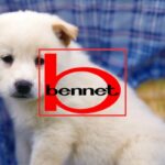 bennet