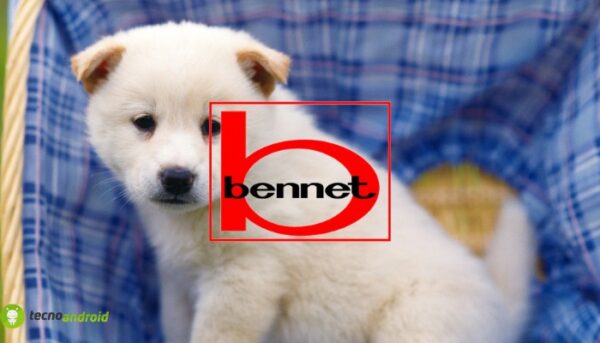 bennet