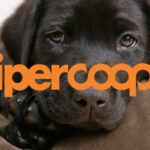 coop