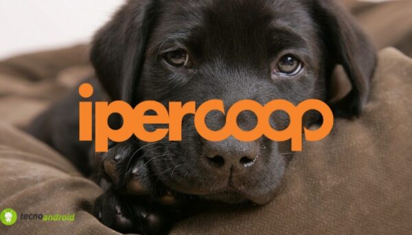 coop