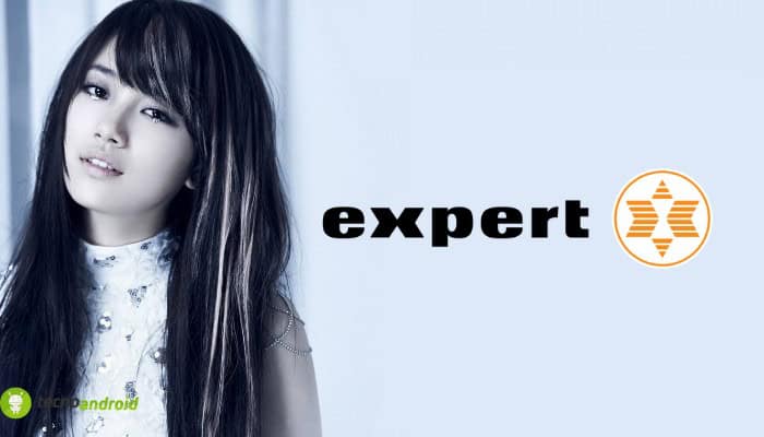 expert