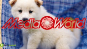 mediaworld
