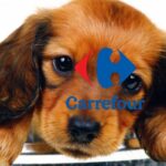 carrefour