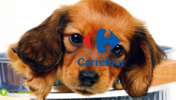 carrefour